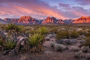 View of Red Rock Canyon National Park, NV arrived at using car hire by easyCar